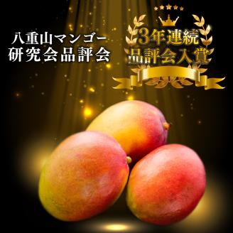 2026年 先行予約 訳あり 完熟 アップルマンゴー 2L 350g～460g 2玉 マンゴー 果物 デザート 品評会連続入賞 2026年 発送 ますみ農園 005-a015_2026