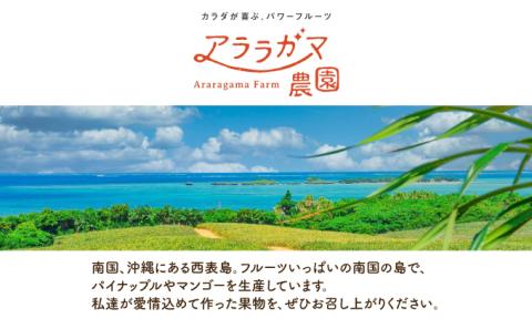☆アララガマ農園の定期便☆アララガマ農園のパイナップルを3種とアップルマンゴーを4回に分けてお届け
