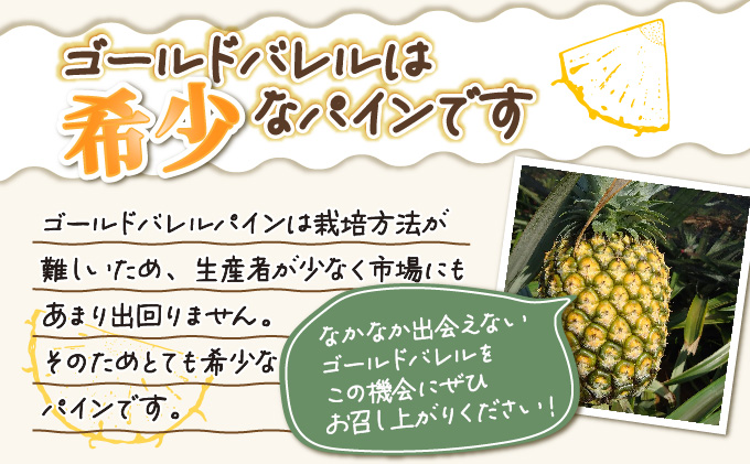 2026年 先行予約 パイン ゴールドバレル 約3kg 2～4玉 ますみ農園 甘み たっぷり パイナップル 果物 フルーツ 005-a001_2026