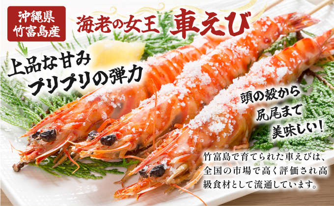 先行予約 車えび 1kg 竹富島産 冷凍車えび 先行予約 冷凍車えび 1kg