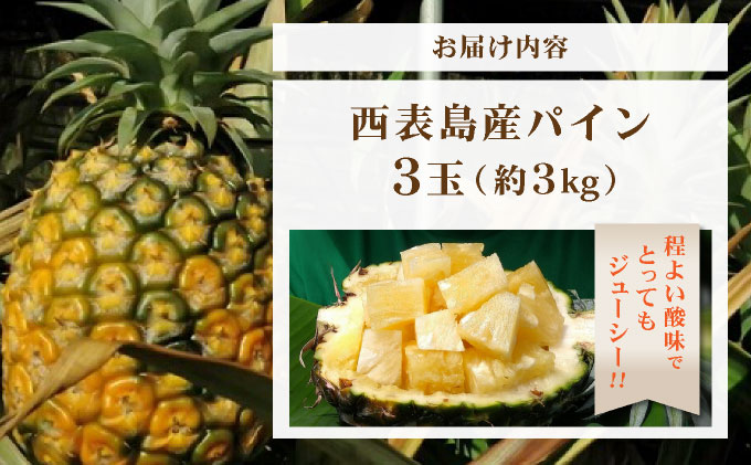 日本最南端のパイン３玉セット　約３ｋｇ　西表島産 020-b001_2026