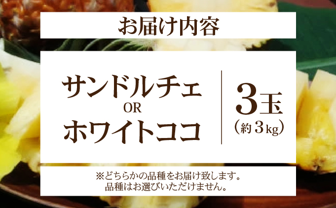 新品種パイン　『サンドルチェ』または『ホワイトココ』３玉セット　約３ｋｇ 西表島産 020-b002_2026