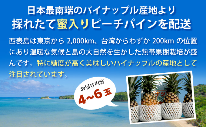 【2026年発送】リピータ続出！西表パイン園の蜜入り ピーチパイン4kgセット[022-a002_2026]