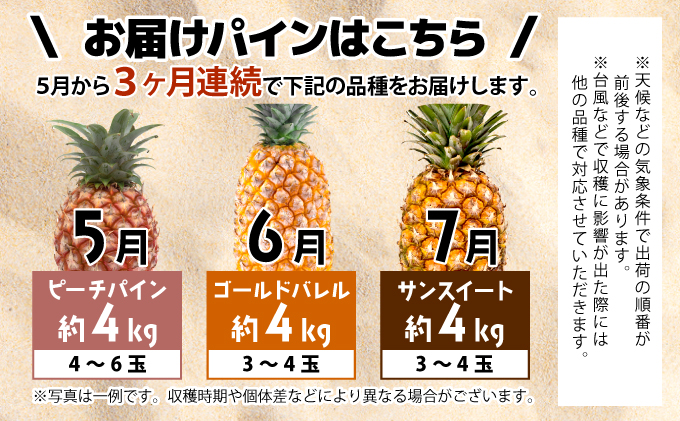 【2026年5月～7月（全3回発送）】南国の美味しさを！パイナップル 定期便 B[022-a004_2026]