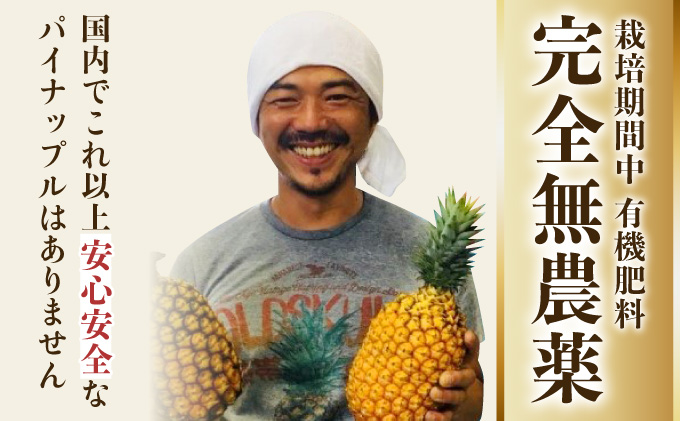 【JASオーガニック】 プレミアムゴールドバレル 約2kg 1～3玉 023-a008_2026