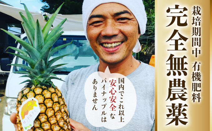 2024年 先行予約 パイナップル ついに実現！ 栽培期間中 完全有機 無農薬 アナナスドルチェ 約2.5kg 2～4玉 果物 フルーツ