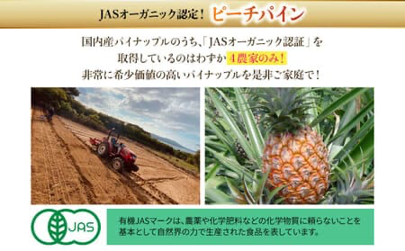 【JASオーガニック】プレミアムピーチパイン 約1.2kg 2～3玉 023-a026