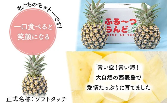 2026年 先行予約 ピーチパイン 約3kg 4～5玉 甘熟 西表島ふる～つらんど 不動の人気No.1 果物 フルーツ パイン 026-a001_2026