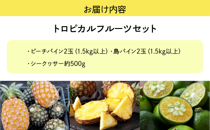 2026年 先行予約 トロピカルフルーツ セット パイン シークワーサー ☆西表島ふる～つらんど☆ 果物 フルーツ 026-a006_2026