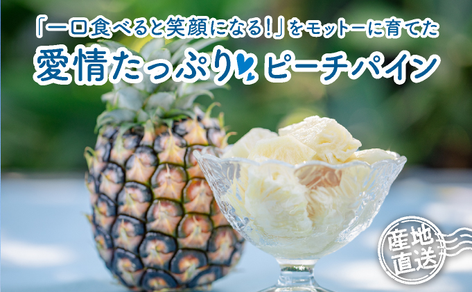 定期便 2ヶ月 2026年 先行予約 ピーチパイン 約3.5kg(4〜5玉)×2回 ピーチパイン好きにおすすめ♪ ☆西表島ふる～つらんど☆ 果物 フルーツ 026-a013_2026