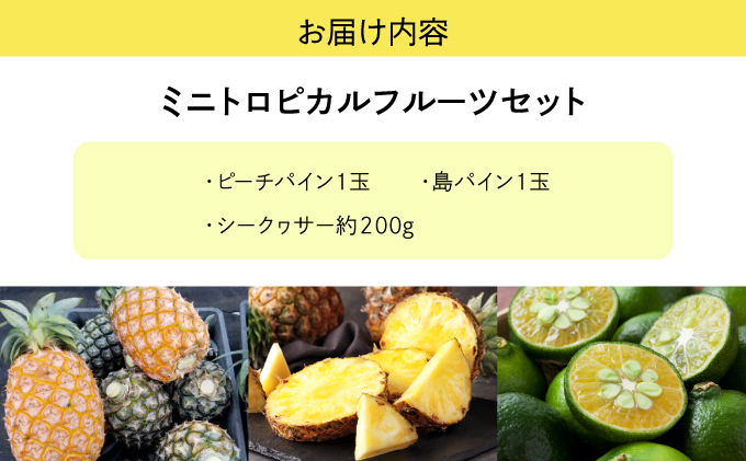 2026年 先行予約 ミニトロピカルフルーツ セット パイン シークワーサー ☆西表島ふる～つらんど☆ 果物 フルーツ