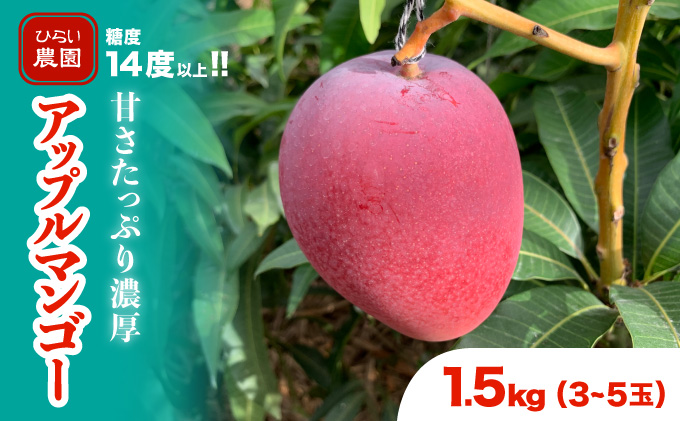 2026年 先行予約 アップルマンゴー 約1.5kg 3～5玉 西表島ひらい農園 マンゴー 果物 フルーツ 027-a006_2026