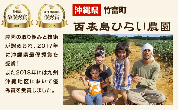 2026年 先行予約 スナックパイン 約4.5kg 6玉 西表島ひらい農園 パイナップル 果物 フルーツ パイン 027-a010_2026