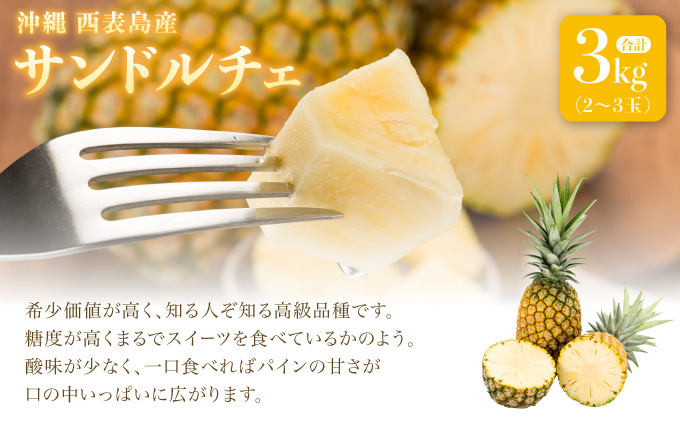 熟鮮サンドルチェ(R) 3kg(2～3玉 )2026年 先行予約 パイン沖縄 西表島産 レア品種 沖縄 西表島産 果物 フルーツ [029-a004_2026]