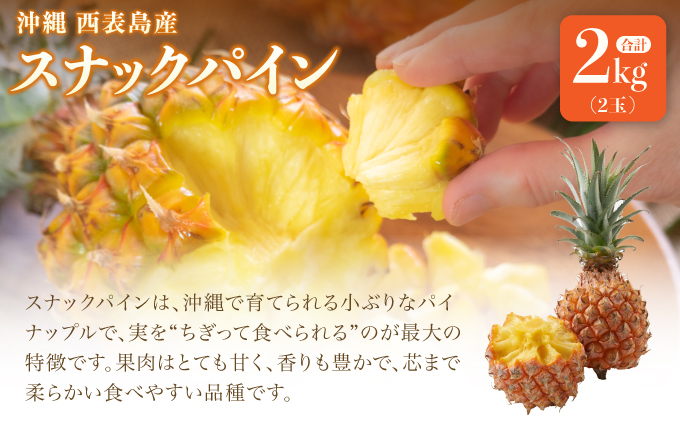 2026年 先行予約 熟鮮スナックパイン2kg （2玉）と甘さをぎゅっと詰め込んだ100％ パイナップルジュース 1本[029-a007_2026]