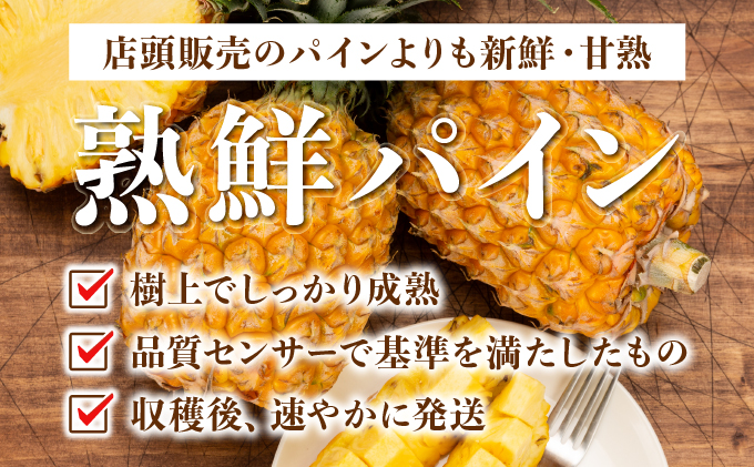 【手でちぎって食べる楽しさ】熟鮮スナックパイン2kg（2～3玉）2026年 先行予約　沖縄　西表島[029-a017_2026]