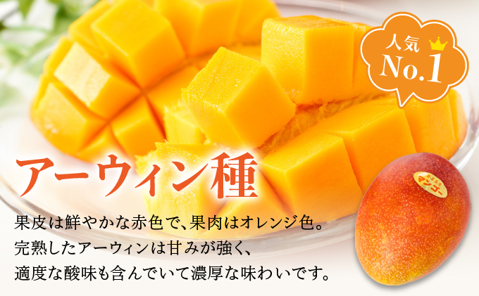 2025年6月中旬発送予定。『箱を開けた瞬間から、至極のひと時を』西表島プレミアムマンゴー1.5kg