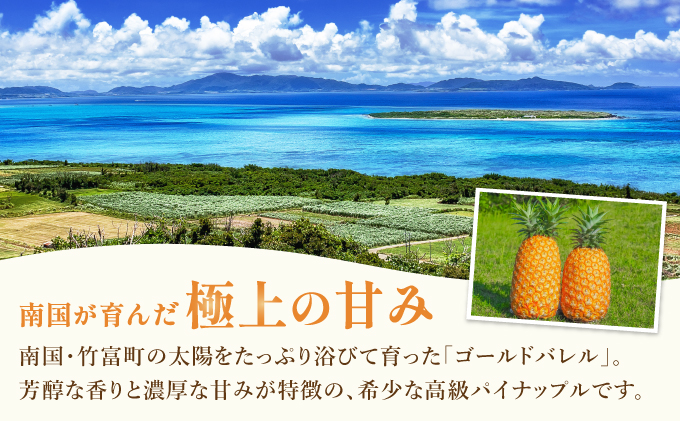 高級感No.1！開発に30年・栽培に3年。パイナップルの最高峰ゴールドバレル2.5kg(2〜3玉)