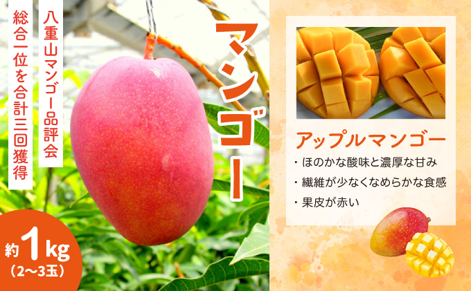 2026年 先行予約 セット パイン 約1.5kg マンゴー 約1kg 農園ファイミール 果物 フルーツ 031-a003_2026