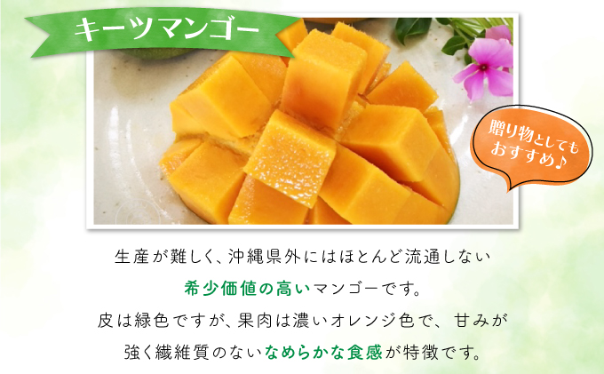 2026年 先行予約 マンゴー 約1.8kg 2～4玉 希少品種濃密 キーツマンゴー 高糖度保証！農園ファイミール 果物 フルーツ  031-a010_2026