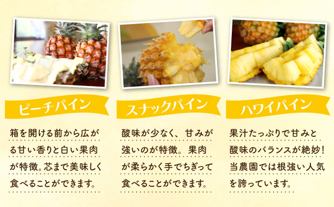 定期便 5回 2026年 先行予約 パイナップル マンゴー 旬果便 農園ファイミール 果物 フルーツ お楽しみ 031-a011_2026