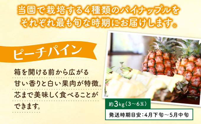 定期便 4回 2026年 先行予約 パイナップル 旬果便 農園ファイミール パイン 4種 果物 フルーツ 031-a012_2026