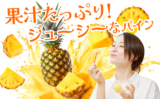 《2026年先行予約》ハワイパイン約10kg 【お届け：2026年6月中旬～7月下旬】【農園ファイミール 完熟 果物 フルーツ パイン パイナップル】031-a028_2026