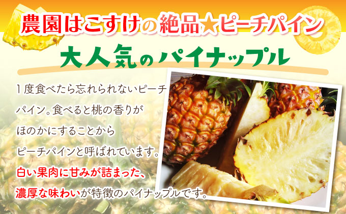 2026年 先行予約 ピーチパイン 約9.5kg 早旬 パイン 夏まで待ちきれない！★たっぷり大家族サイズ★ 西表島 初エコファーマー認定 036-a007_2026