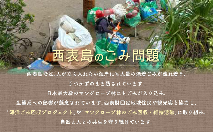 一般財団法人西表財団 感謝状＋西表島フォトコンテスト「西表島カレンダー」付