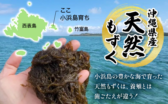 小浜島の豊かな海で育ったもずく（味付け）6パック 300g×6パック