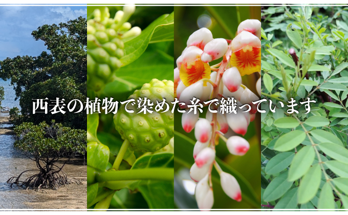 ブックカバー 【 ブックカバー 本 カバー 西表島 ミンサー ミンサー織り 】