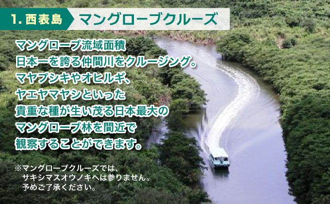 大人気の3島めぐりツアー 西表島・由布島・竹富島を満喫する日帰りツアー マングローブ遊覧＋水牛車＋選べる竹富島での過ごし方＜1日／昼食付＞【 旅行 体験チケット観光 大自然 体験ツアー 観光 沖縄 アクティビティ 】071-a002