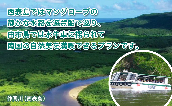 西表島・由布島を巡る日帰りツアー　 ～マングローブ遊覧＋水牛車＋由布島たっぷり90分＜石垣島発着／半日／昼食／送迎＞【 旅行 体験チケット観光 大自然 体験ツアー 観光 沖縄 アクティビティ 水牛 牛車 】071-a003