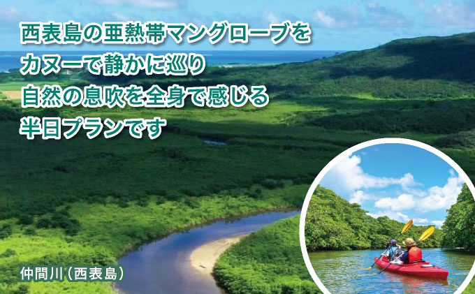 西表島マングローブカヌーツアー　～亜熱帯の自然を半日で満喫　嬉しい昼食付き！＜指定ホテル送迎選択可／石垣島発＞【 旅行 体験チケット観光 大自然 体験ツアー 観光 沖縄 アクティビティ カヌー】071-a007