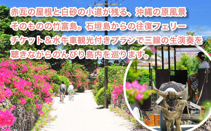 竹富島日帰り観光ツアー　～水牛車で楽しむ竹富島での過ごし方＜半日／指定ホテルお送り＞【 旅行 体験チケット観光 大自然 体験ツアー 観光 沖縄 アクティビティ】 071-a008