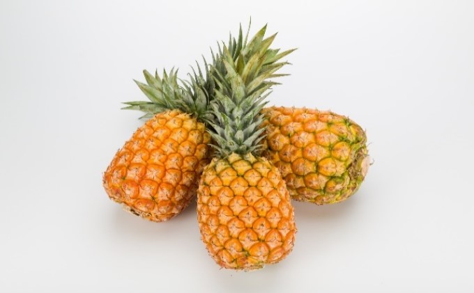 2024年 先行予約 セット パイン ジュリオスターパイン 2kg 2～3玉 レア品種 沖縄 西表島産 果物 フルーツ