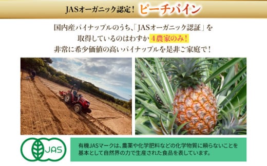 【JASオーガニック】プレミアムピーチパイン 約1.2kg 2～3玉 約1.2kg(2～3玉)