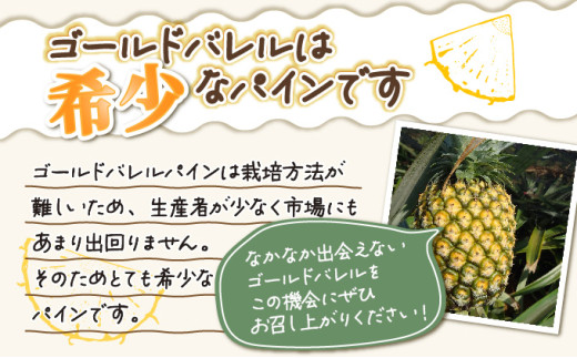 2026年 先行予約 パイン ゴールドバレル 約3kg 2～4玉 ますみ農園 甘み たっぷり パイナップル 果物 フルーツ