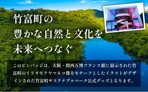 竹富町公式サステナブルマークピンバッジ【ブルー】（マグネットタイプ）｜大阪・関西万博フランス館イリオモテヤマネコ像 ブルー