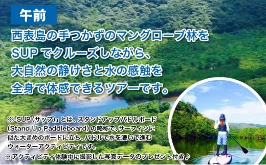 西表島マングローブSUPクルーズ＋選べる竹富島観光ツアー＜指定ホテル送迎選択可／石垣島発＞【 旅行 体験チケット観光 大自然 体験ツアー 観光 沖縄 アクティビティ SUP】