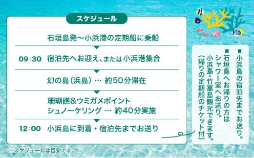 【石垣発】幻の島上陸＆海亀とシュノーケリング♪　無料『マーメイド体験、シャワー、お食事、小浜観光、片道船券付き』 竹富観光可【 旅行 体験チケット観光 大自然 体験ツアー 観光 沖縄 アクティビティ シュノーケリング 】 石垣発