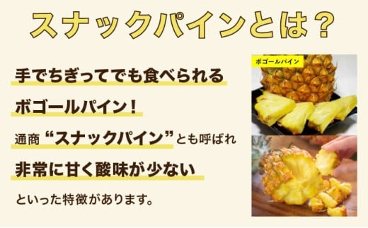 2026年 先行予約 スナックパイン 約13kg 16玉 西表島ひらい農園 パイナップル 果物 フルーツ パイン 約13kg 16玉