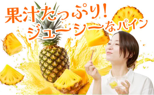 《2026年先行予約》ハワイパイン約4kg 【お届け：2026年6月中旬～7月下旬】【農園ファイミール 完熟 果物 フルーツ パイン パイナップル】 約4kg