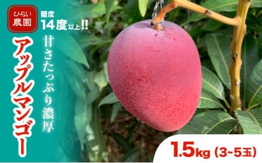 2026年 先行予約 アップルマンゴー 約1.5kg 3～5玉 西表島ひらい農園 マンゴー 果物 フルーツ 約1.5kg（3～5玉）