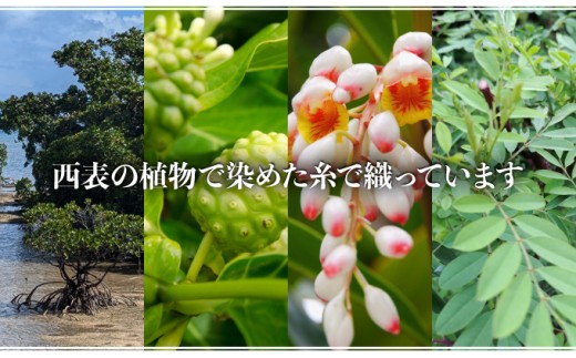 コースター 2枚組【 コースター 西表島 ミンサー ミンサー織り 】 2枚組