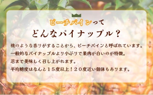 2026年 先行予約 西表島の完熟ピーチパイン 3kg (3～4玉)【嘉本商店 完熟 果物 フルーツ】お届け：5月中旬～6月中旬頃【042-a003】 3kg