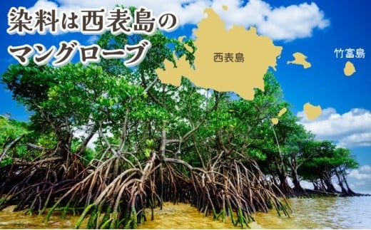 西表島のマングローブ海染め体験　Tシャツ作りコース（約2時間）