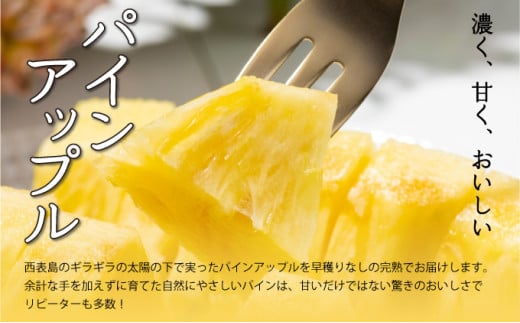 2026年 先行予約 セット 黒糖 完熟 パイン 水鴨農園 西表島産 パイナップル 果物 フルーツ