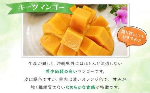 2026年 先行予約 マンゴー 約1.8kg 2～4玉 希少品種濃密 キーツマンゴー 高糖度保証！農園ファイミール 果物 フルーツ
