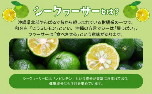 訳あり 2026年 先行予約 青切り シークヮサー 約3kg ☆西表島ふる～つらんど☆ 果物 フルーツ